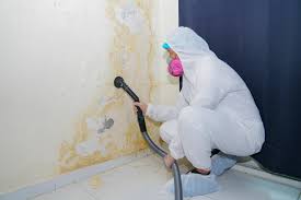 Best HVAC Mold Inspection and Cleaning  in Summerlin South, NV